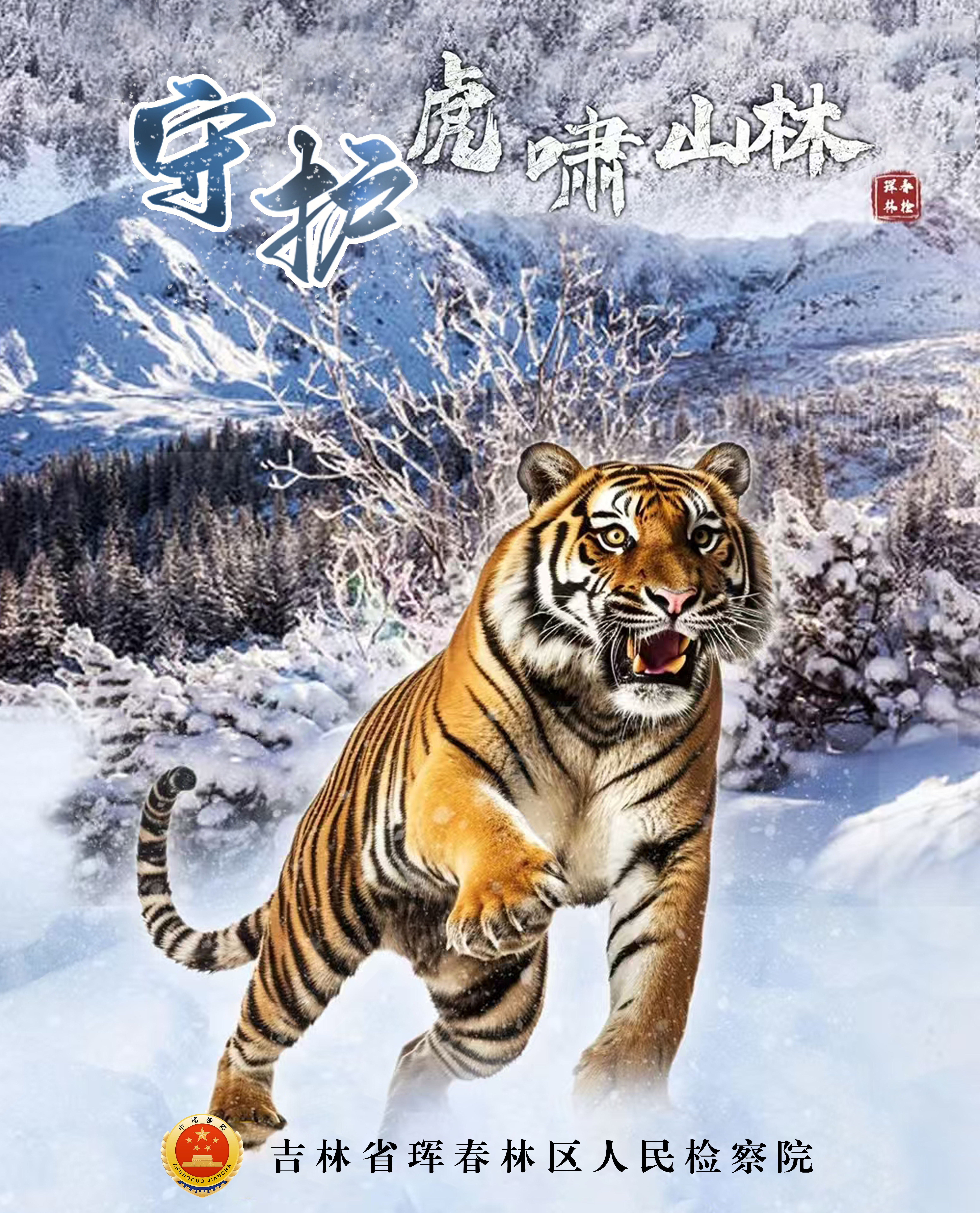 守护虎啸山林 | 吉林省“双优”检察文化品牌展播